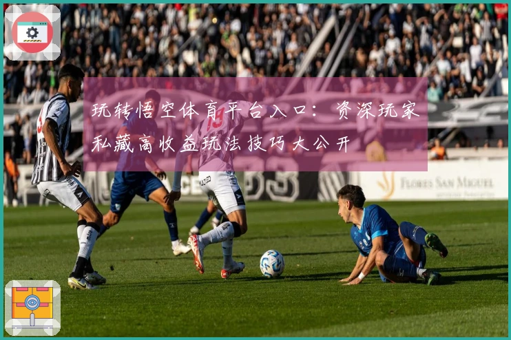 玩转悟空体育平台入口：资深玩家私藏高收益玩法技巧大公开