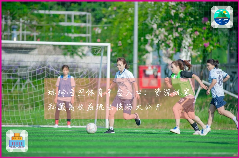 玩转悟空体育平台入口：资深玩家私藏高收益玩法技巧大公开